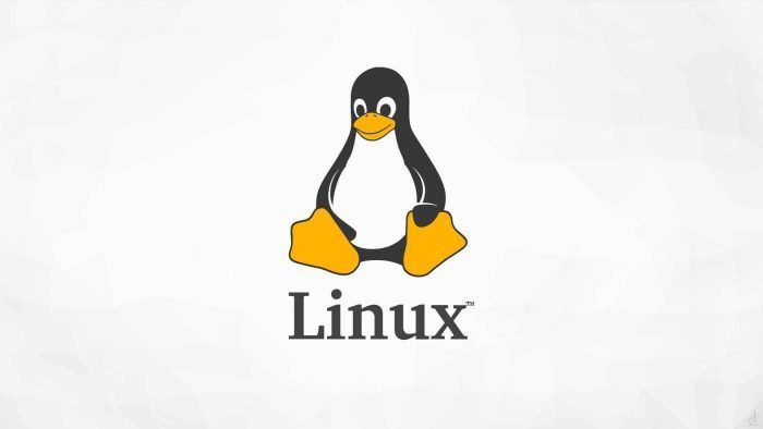 Linux简明使用教程